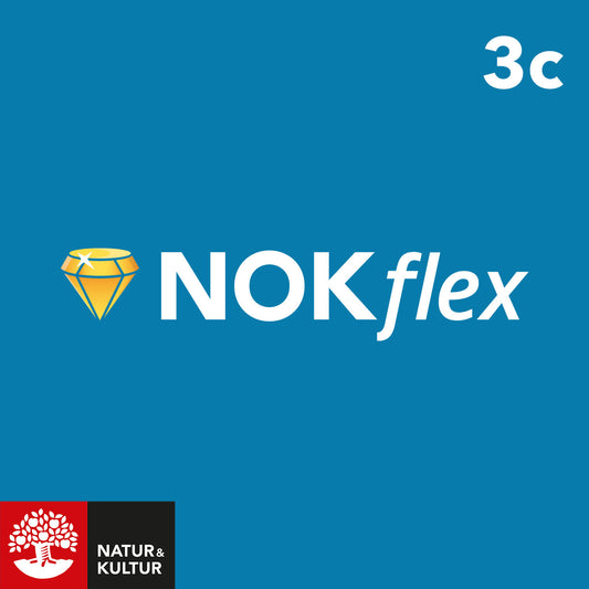 NOKflex Matematik 3c